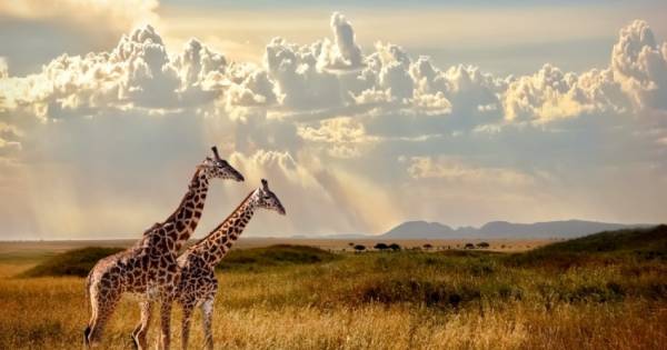 Tanzania’s Travel & Tourism Reached Record Breaking Levels in 2023 Breaking Travel News
